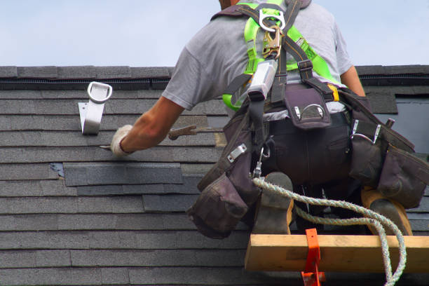 Roof Gutter Cleaning in King George, VA
