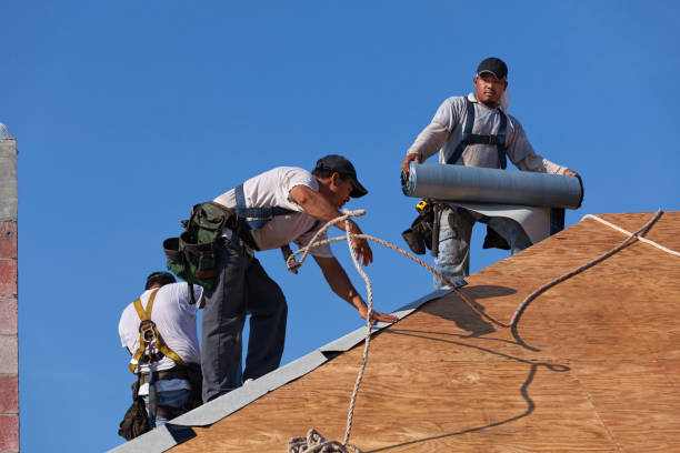 Best Roof Gutter Cleaning  in King George, VA